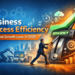 Business Process Efficiency Strategies