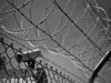 5 Emerging Trends In Cybersecurity To Watch Out For In 2020